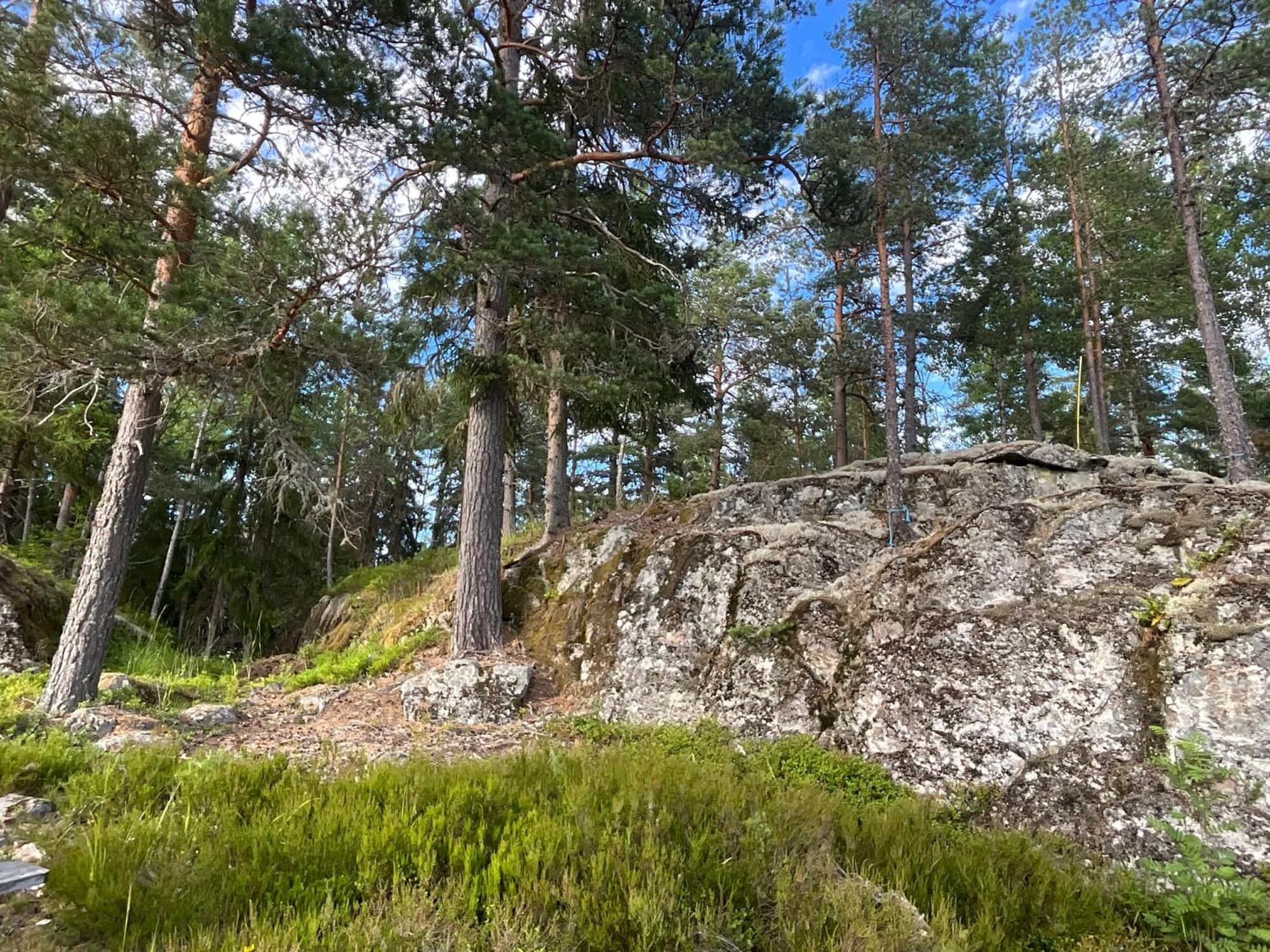 Koselig Hytte I Skogen Villa Skillingsfors Eksteriør bilde